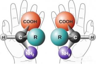 研究人员首次在星际空间探测到手性分子。(新浪科技配图)
